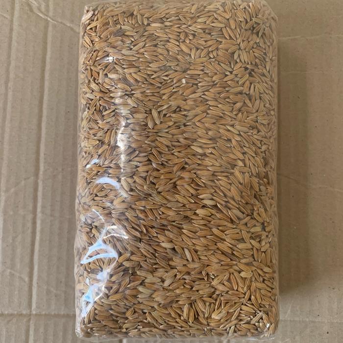 Juwara_Syatu Gabah Padi Ketan Hitam 1Kg