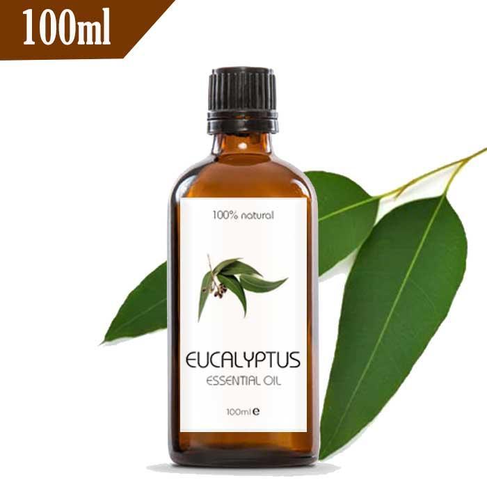 Eucalyptus Oil Eucalyptus Essential Oil 100ml