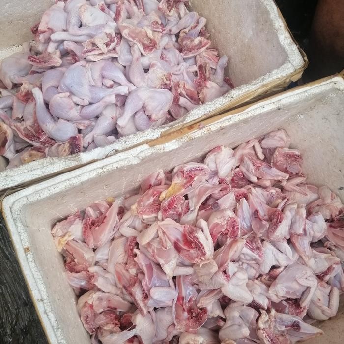

Pilihan- Ayam Karkas Broiler Potong 4 Spek Nasi Padang Pecel Lele Grosiran