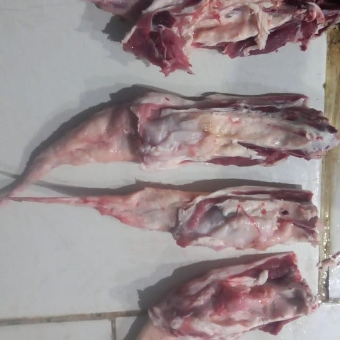 

Pilihan- Buntut Kambing Segar