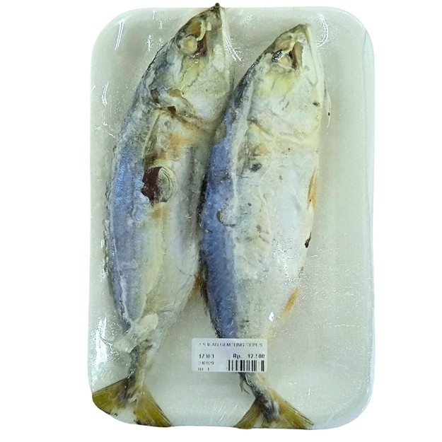 

S17983 IKAN GEMBUNG REBUS 2`S MAJU BERSAMA (20250916)