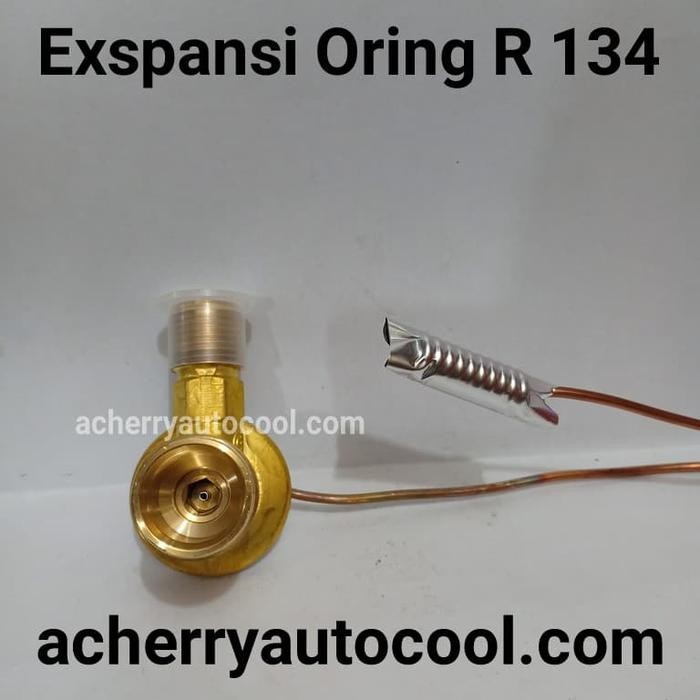 Expansi Oring R134 Asli