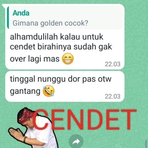 Pakan Burung Import Voer Wambi Murai Poksay Anis Kacer Dll Terbatas
