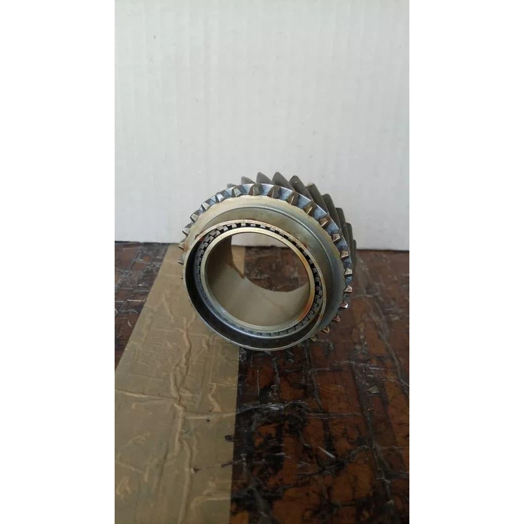 Gigi Tiga Gigi 3 Panther