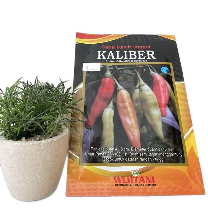Benih cabai rawit unggul kaliber - wijitani
