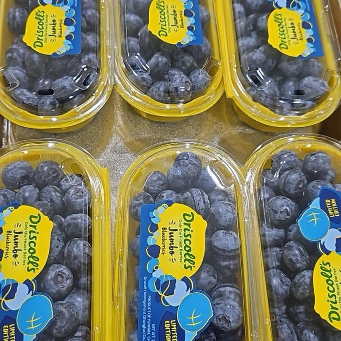 Buah Blueberry blueberry jumbo blueberry blueberry