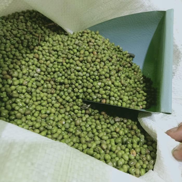

New Kacang hijau birma import India 1kg Kilo Asli!!! Dan Dijamin Fresh