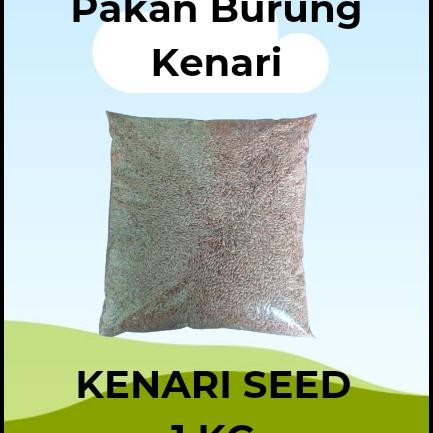 Pilihan- Kenari Seed 1 Kg Pakan Burung Kenari