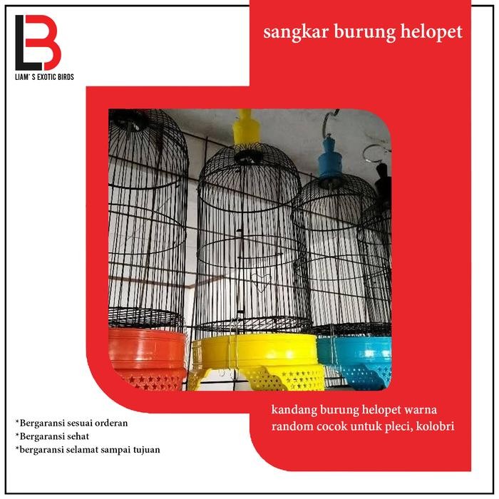 Pilihan- Sangkar Besi Import Kandang Burung Pleci Ciblek Kolibri Dll