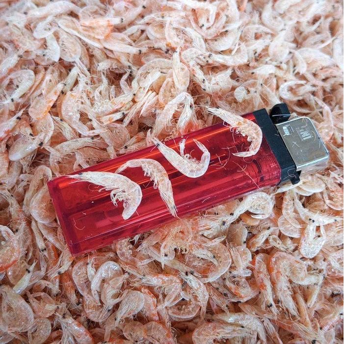 

Pilihan- Udang Rebon Asin Size Kasar Kemasan 500Gr