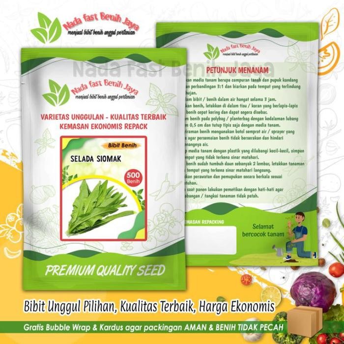 Terlaris 500 biji Benih siomak selada wangi - bibit sayuran siomak SALE