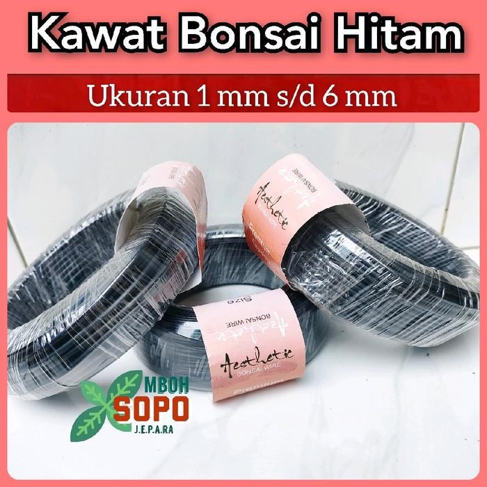 Alat Bonsai, 1 Kg Kawat Bonsai Hitam, Merk Aesthetic
