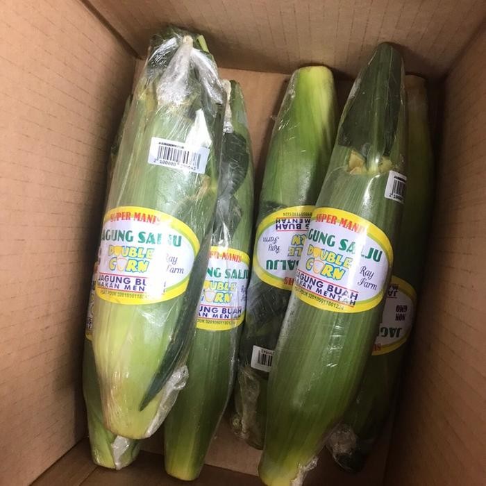 SegArRr- Jagung Hokkaido Tomorokoshi Sweet Corn Jagung Jepang Manis /Pack Isi 2