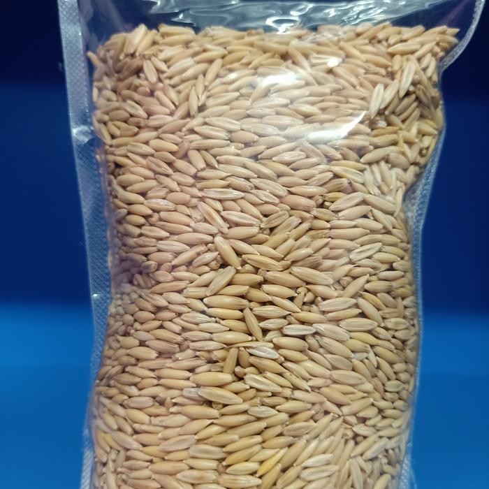 6yfd- Haver Seed Kulit 500Gr - Pakan Burung Kenari Lovebird Sunconure Afgrey