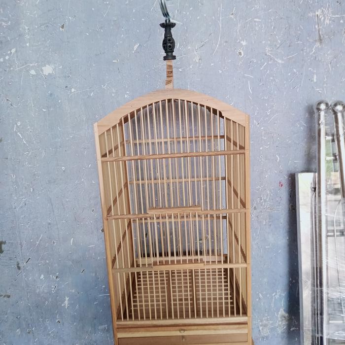 ASLI sangkar/ kandang kosan pleci/ciblek (gojek dan grab) READY STOCK