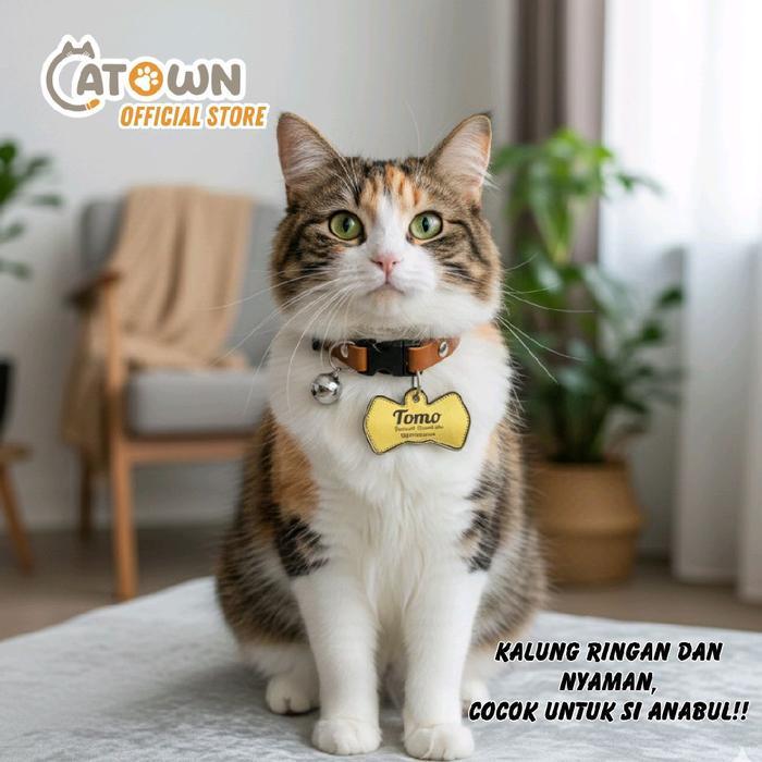 Kalung Kucing Custom Nama Bentuk Dasi Lucu Kalung Lucu Kucing Kalung Anjing Poodle Custom Nama