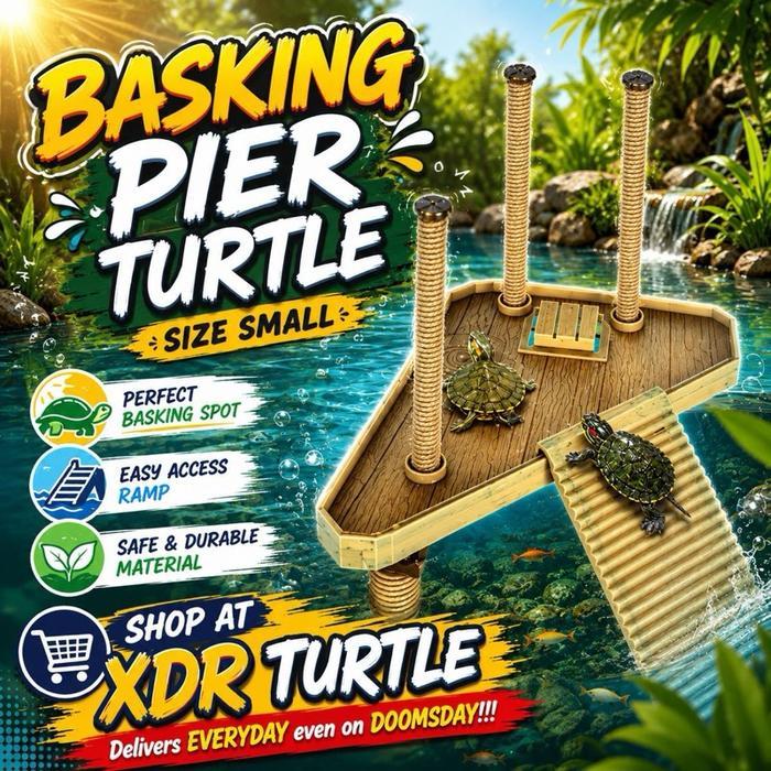 Promo Basking Turtle Pier - Tempat Berjemur Kura Air Brazil Kura Unifilis Kura Damer Size Small