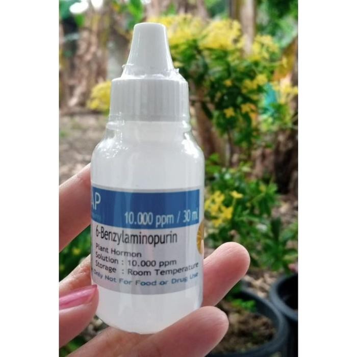 Jlterang Hormon 6Bap Benzylaminopurine 30Ml Biru