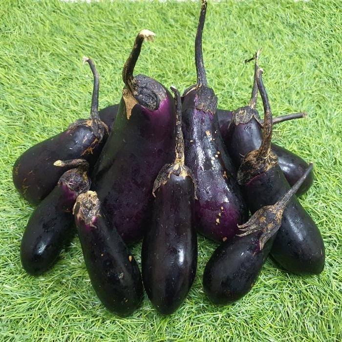 

Pilihan- Terong Jepang Nasubi (Pack +/- 500G)