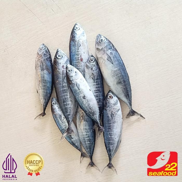 Pilihan- Ikan Baby Tuna Utuh 1 Kg / Ikan Laut / Seafood 22 Frozen