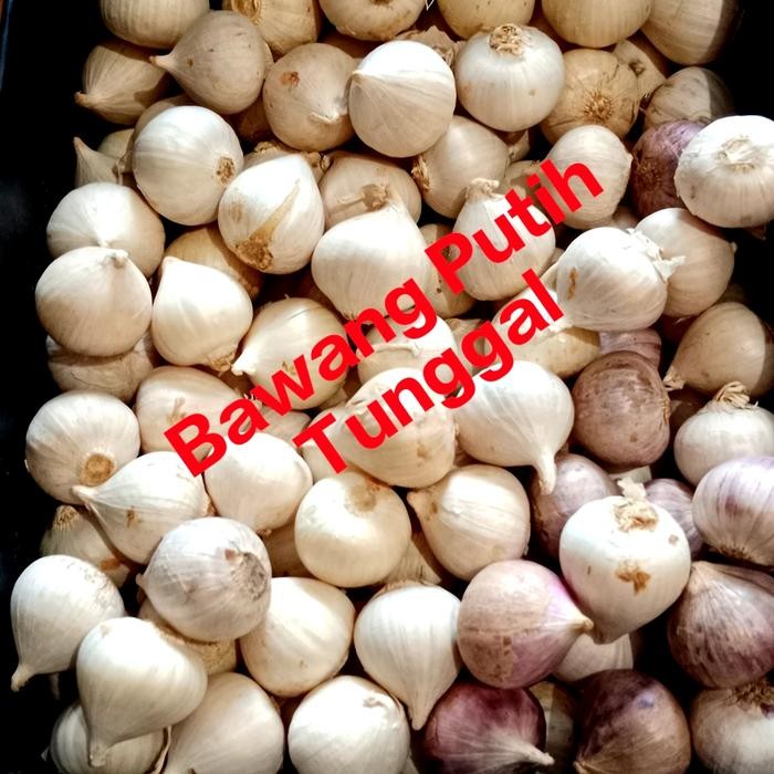 

Pilihan- Bawang Putih Tunggal 100Gr/Bks