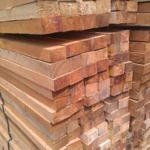 kayu kaso 46
