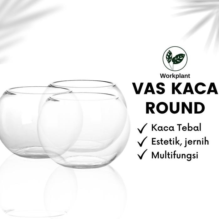 Vas Kaca Round - Vas Bunga Aesthetic Pot Bunga Tanaman Hias Hidroponik