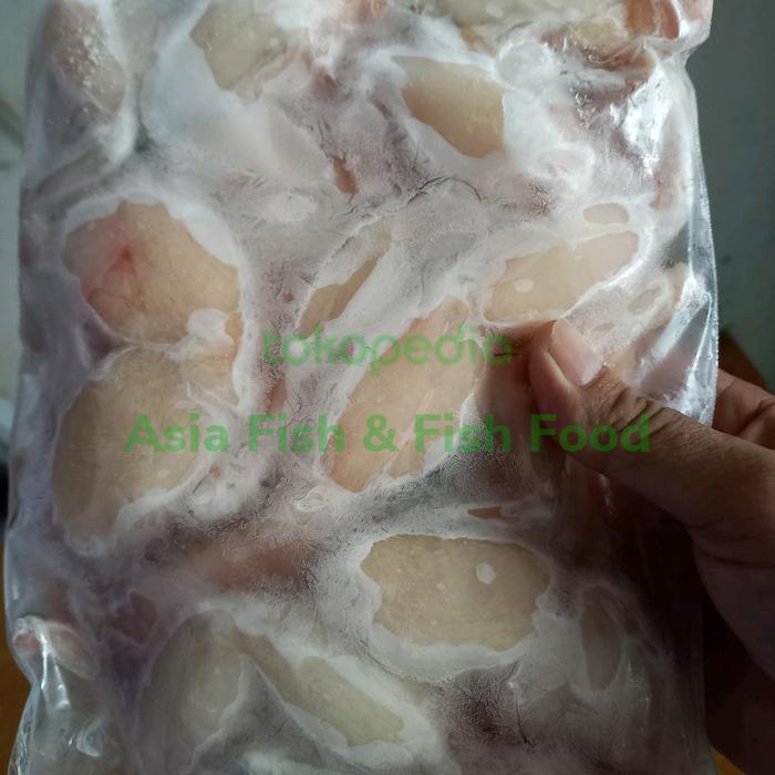 TERBARUU kodok swike daging