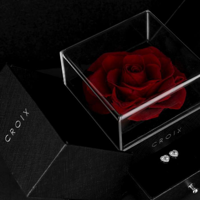 CROIX FLOWER BOX FLOWER BOX