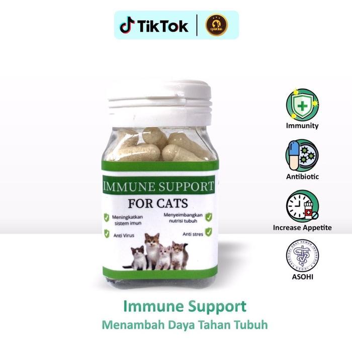 Vitamin Imunitas Kucing Immune Support For Cats Vitamin Kucing Anti Sakit Terlaris