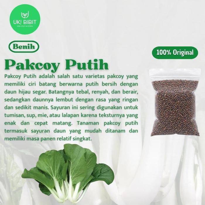 Rupa_Bagus ( 10 Gram ) Benih Biji Pakcoy Putih Sawi Sendok Bok Choy Pak Choy White