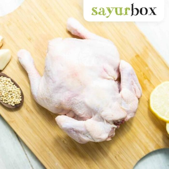 

Pilihan- Ayam Utuh 750 Gram Sayurbox