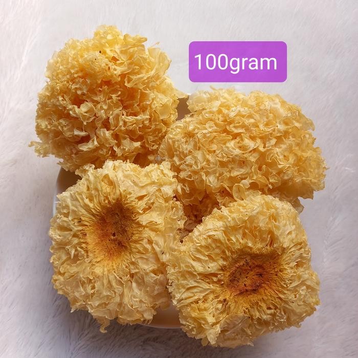 

Pilihan- Jamur Salju Premium 100Gr/ Dried Snow White Fungus
