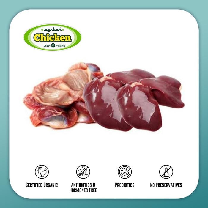 

Pilihan- Ayam Broiler Ati Ampela Organik Berkah Chicken