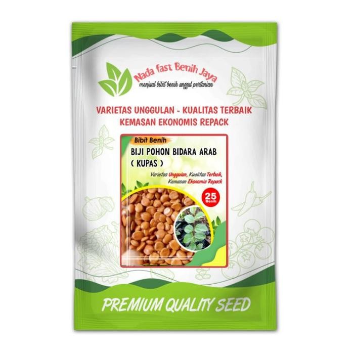 ASLI Benih bibit Pohon bidara Arab Siap ta semai Daun READY STOCK