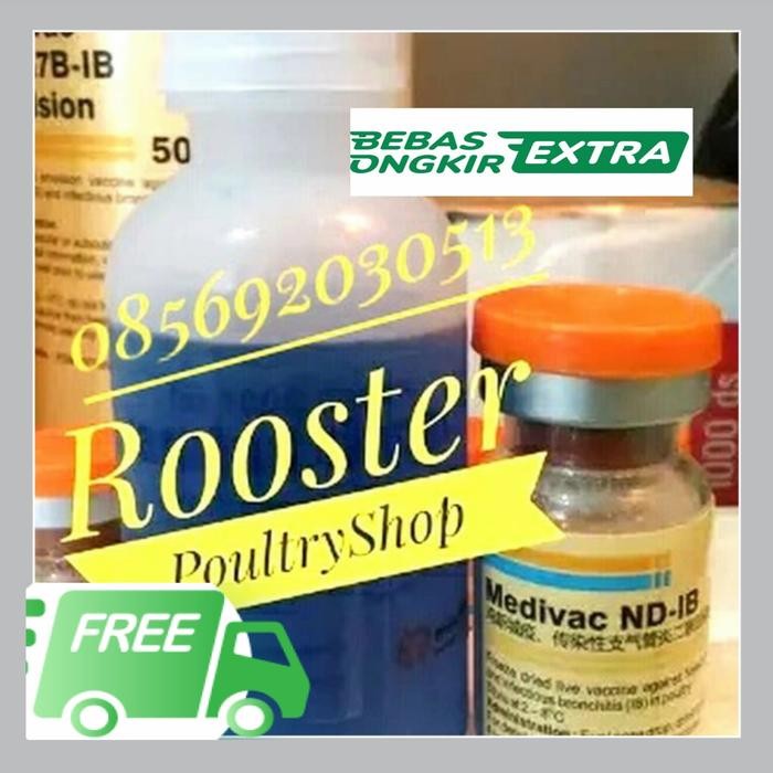 VAKSINASI VAKSIN AYAM ND IB DOSIS UNTUK 1000 EKOR AYAM