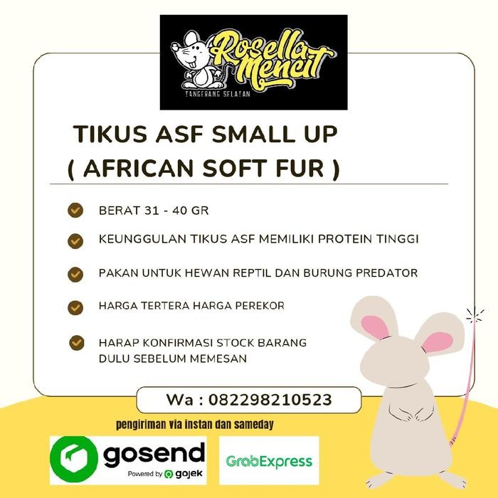 30k6- African Soft Fur Small Up