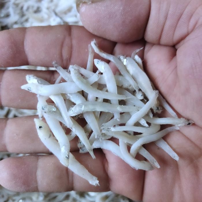 Instanbisa- Ikan Asin Teri Toge Medan 250 Gr Cap Toke Bagan Siapi Api