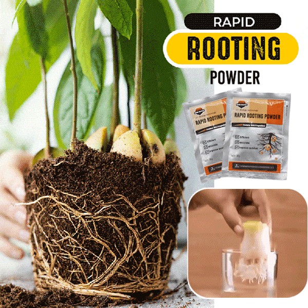 2pcs Rapid Rooting Powder Plant Growth Water Soluble Strong Rooting Growth Hormone Plants Flowers Se