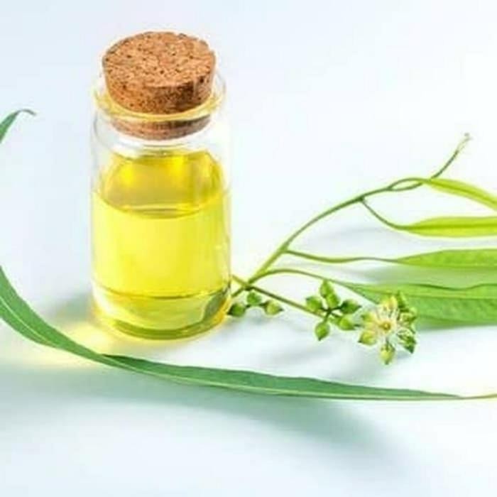 MINYAK KAYU PUTIH 1LITER