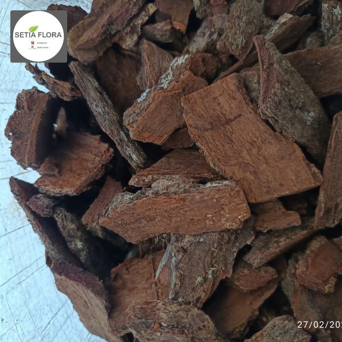 NEW Kulit Pinus Pine Bark Media Tanam