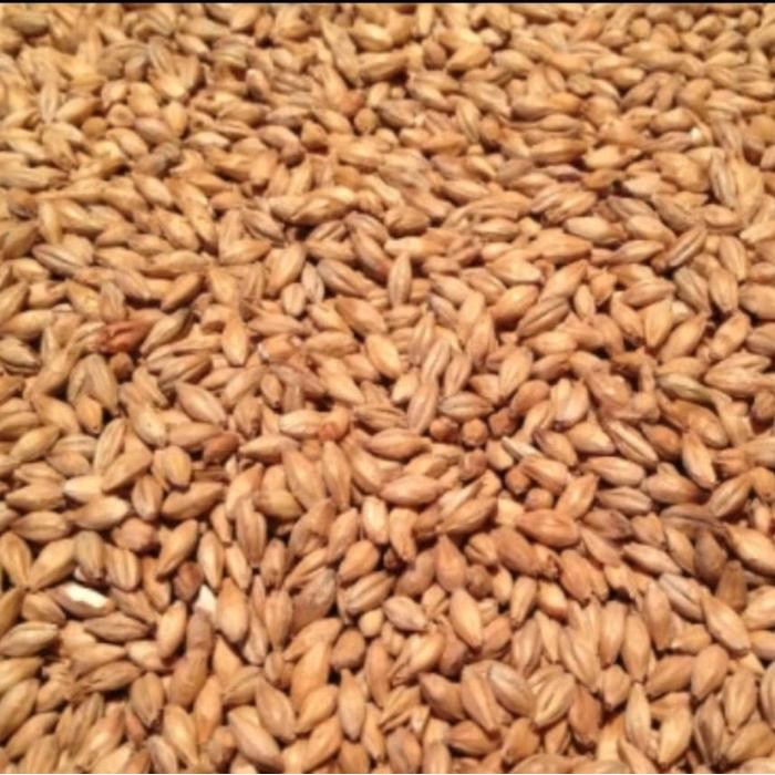 

ORIGINAL Imatton premium import Aus barley 2 row malt grain homebrew craftbeer perlengkapan bar alat