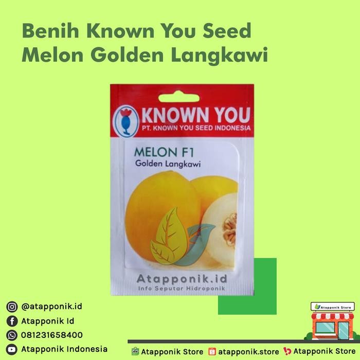 BIG SALE benih melon golden langkawi