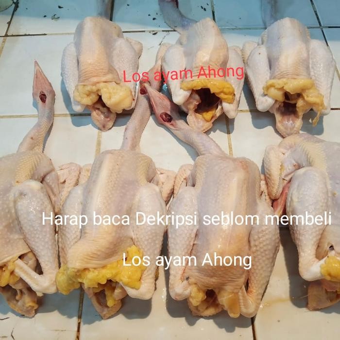 

Pilihan- Ayam Kampung Asli 100%