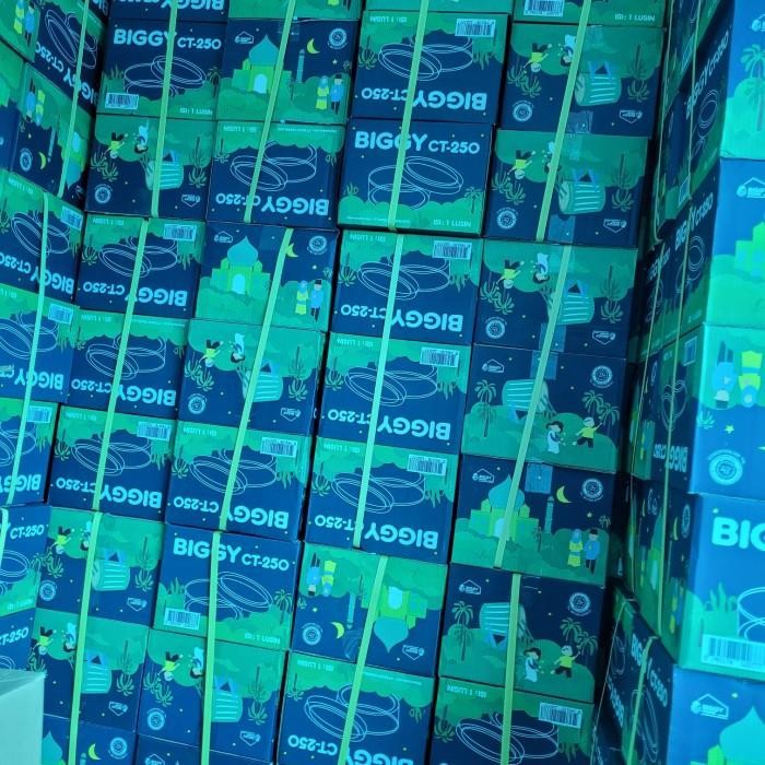 TOPLES BIGGY 500 Gram BIGGY CT 250