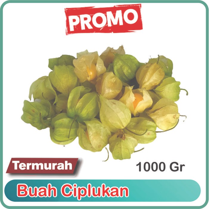 Pilihan- Ciplukan 1Kg Fresh