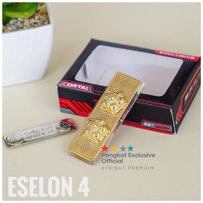 Pin Tanda Jabatan Asn Eselon 2 Tanda Jabatan Asn Eselon 4 Tanda Jabatan Asn Eselon 3 Logam Logam