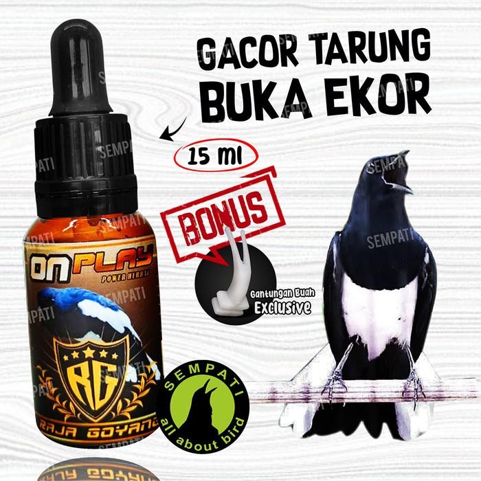 ces0- Sempati On Play Serum Rg Raja Goyang Burung Kacer Vitamin On-Play Oil Booster