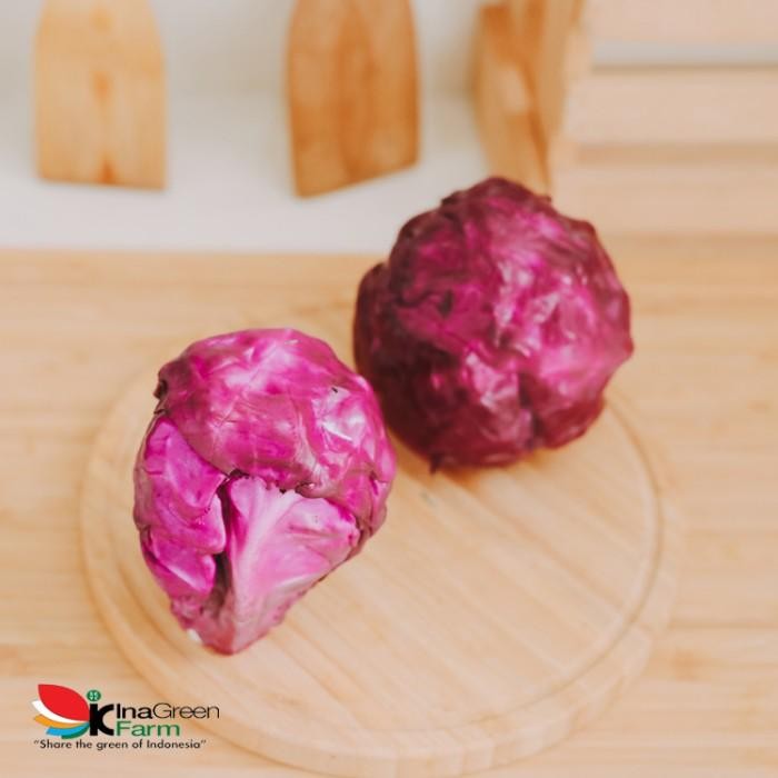 cepatDatangYa- Kol Ungu Segar Inagreen Bandung