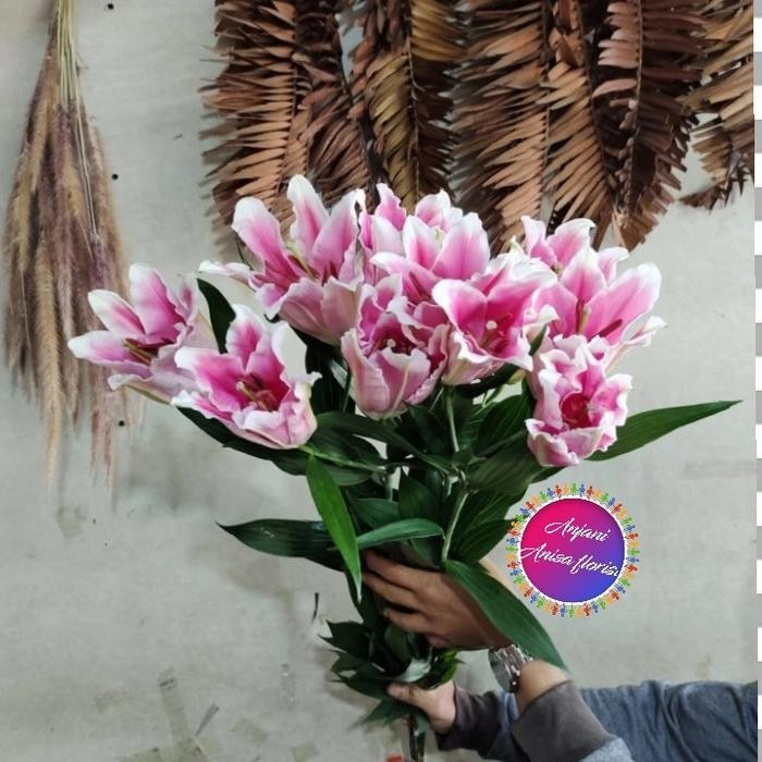 bunga Lily casablanca